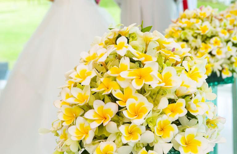 真剣な出会いをあなたに。婚活女子にオススメなオンライン対応可能な丸の内の結婚相談所｜willovalymariage